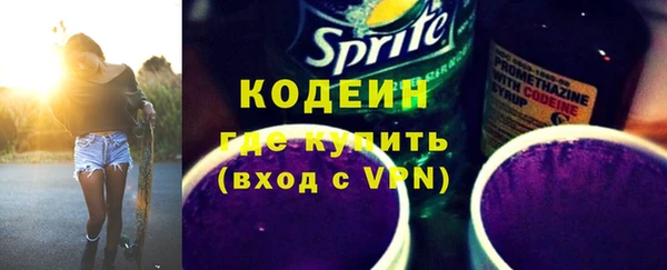 индика Балабаново
