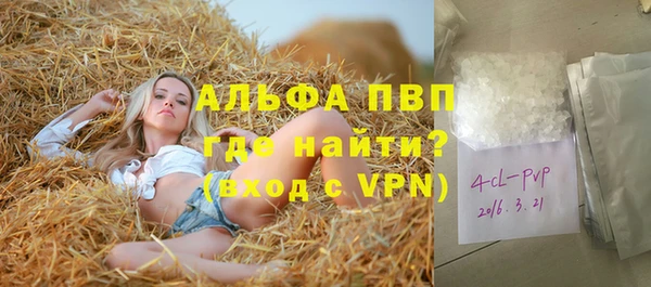 индика Балабаново