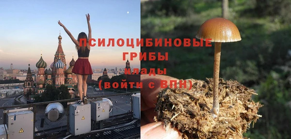 хмурый Балахна