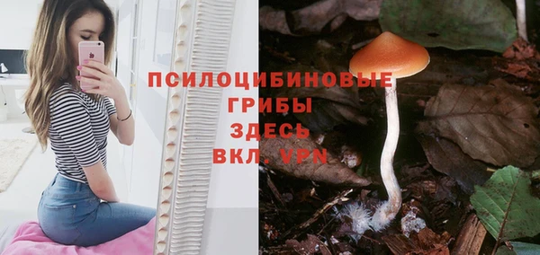 ПСИЛОЦИБИНОВЫЕ ГРИБЫ Баксан
